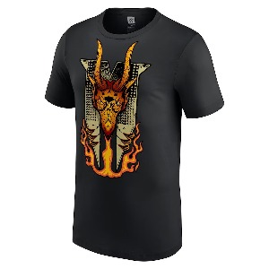 드류 맥킨타이어[Dragon Flames]WWE 정품 티셔츠 (2XL품절)